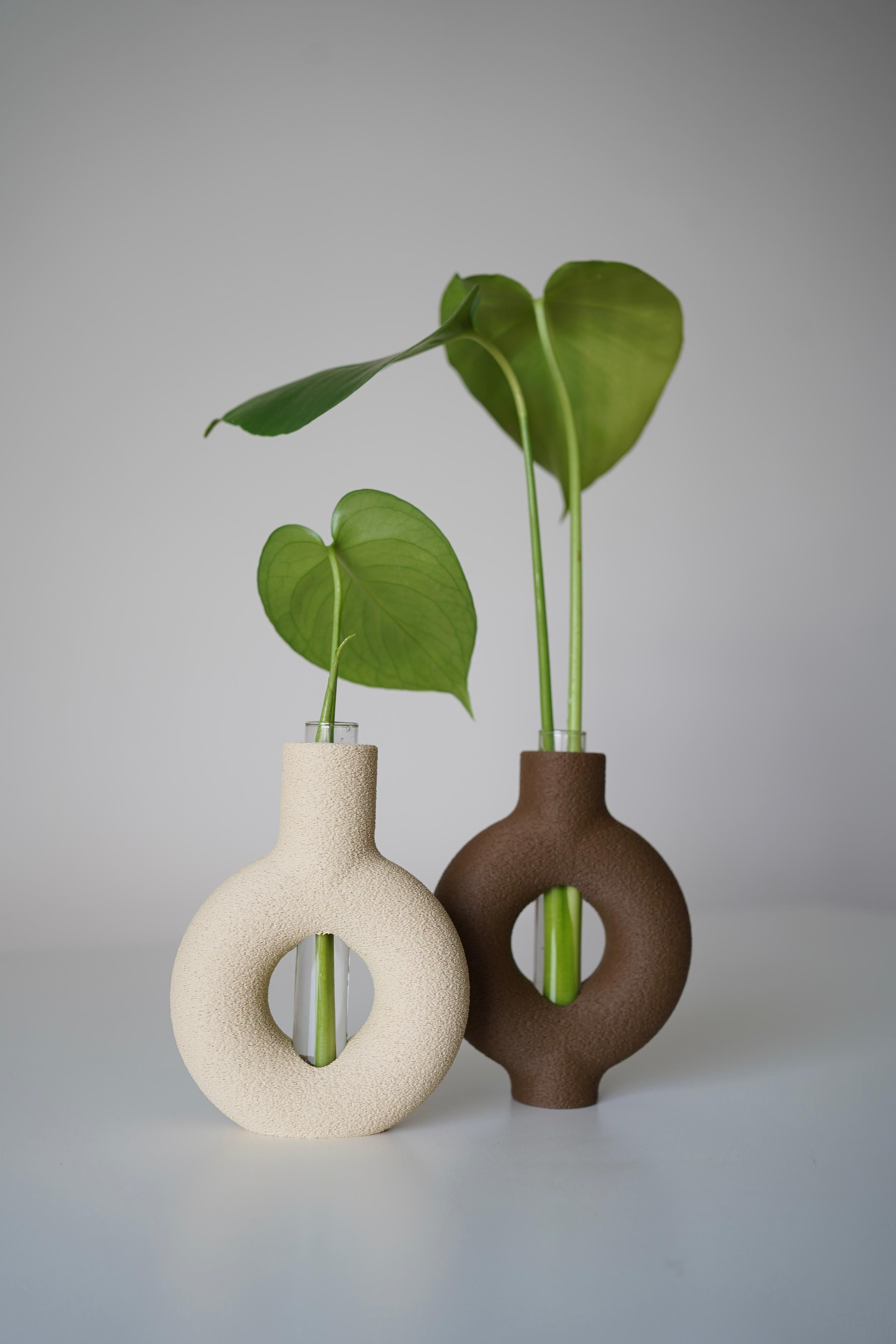 Ringia plant propagation vase