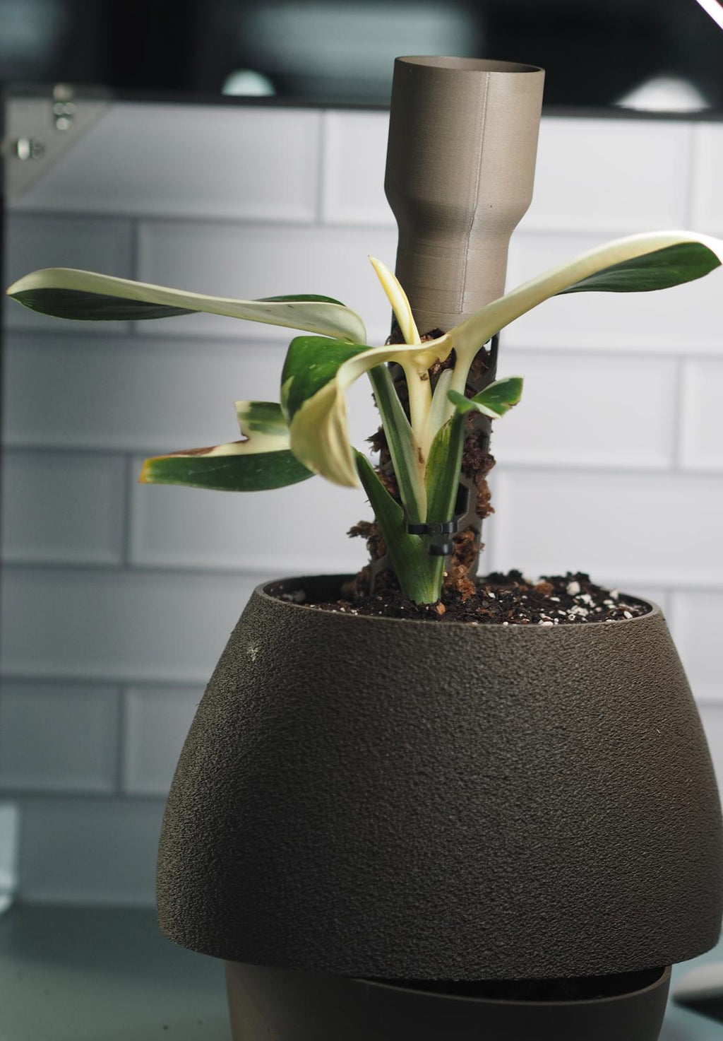 Kapka Self Watering planter