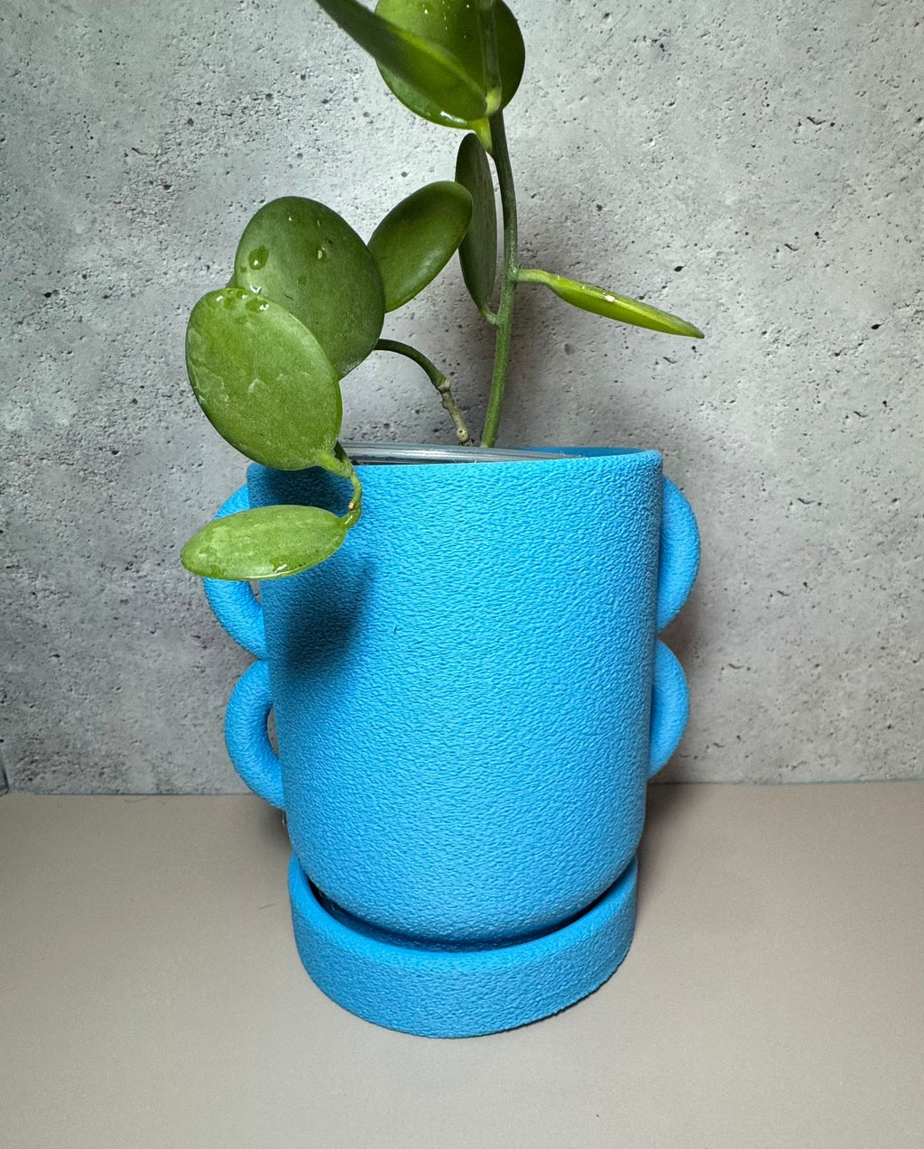 Ucho planter