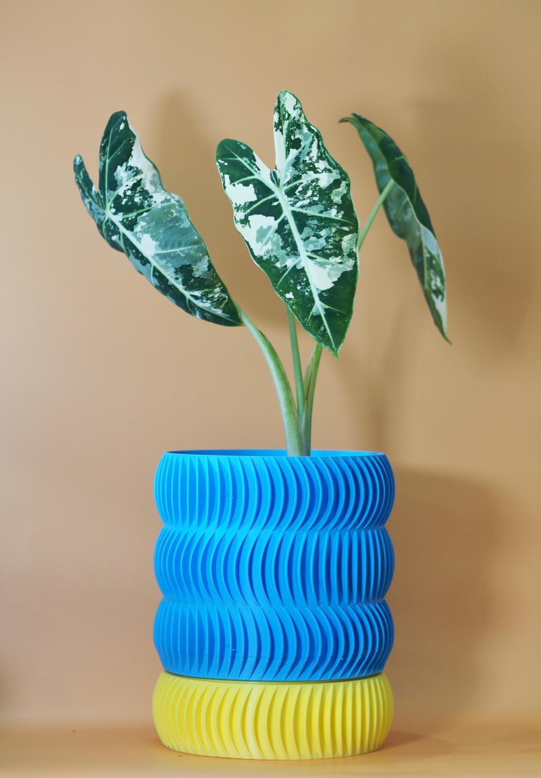 Swirly Planter