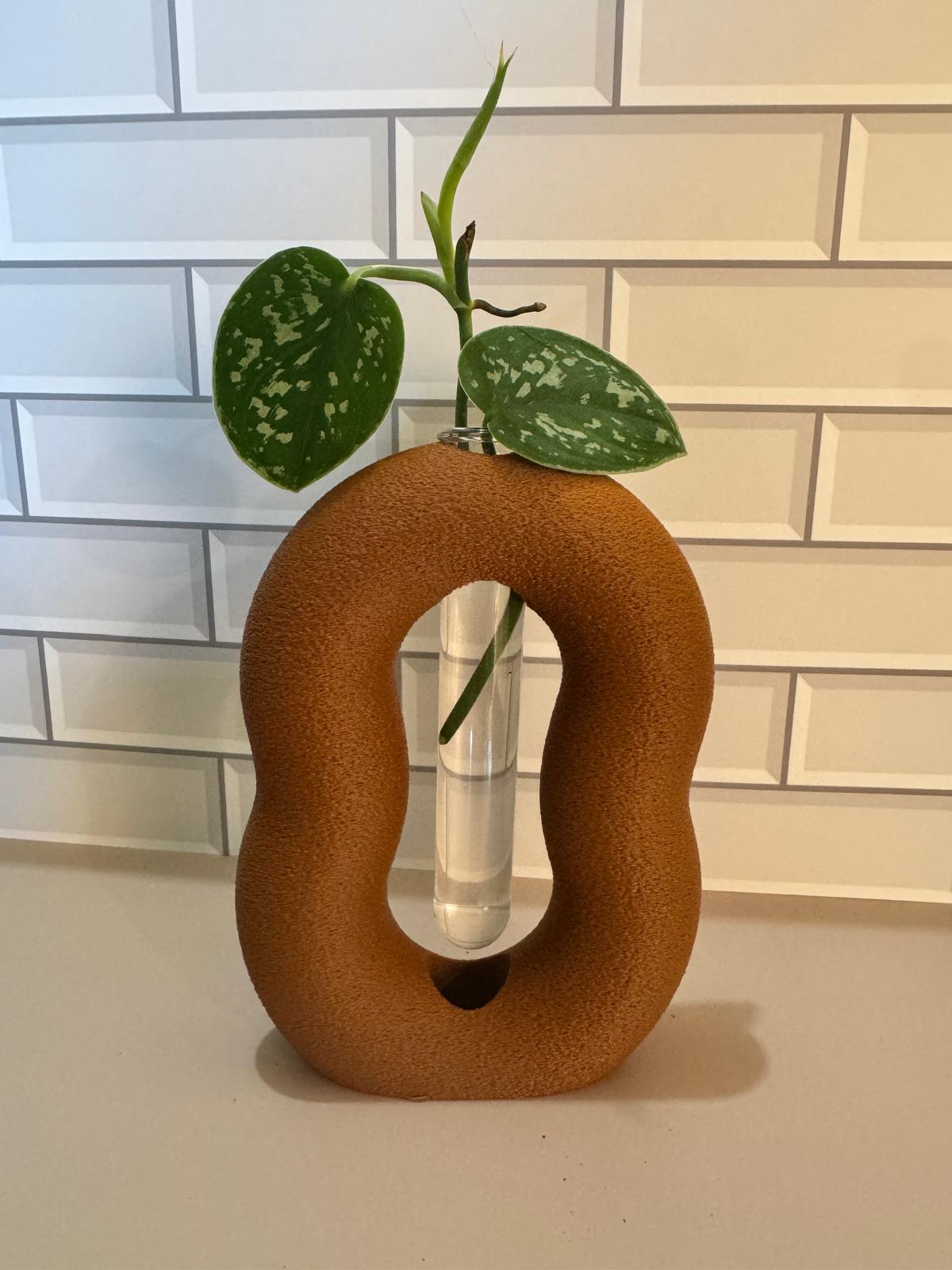 Ovalineo plant propagation vase